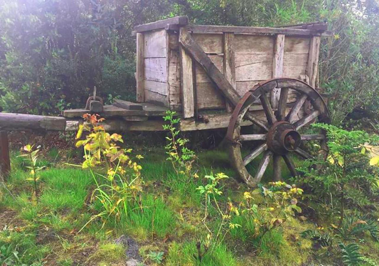 Los Cantos del Chucao Puerto Varas Exterior foto